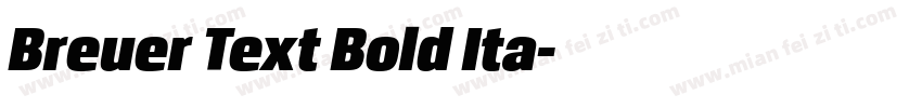 Breuer Text Bold Ita字体转换